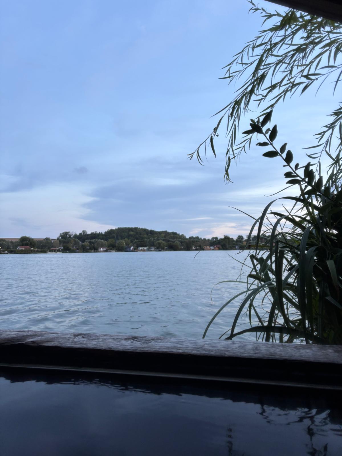 La vue